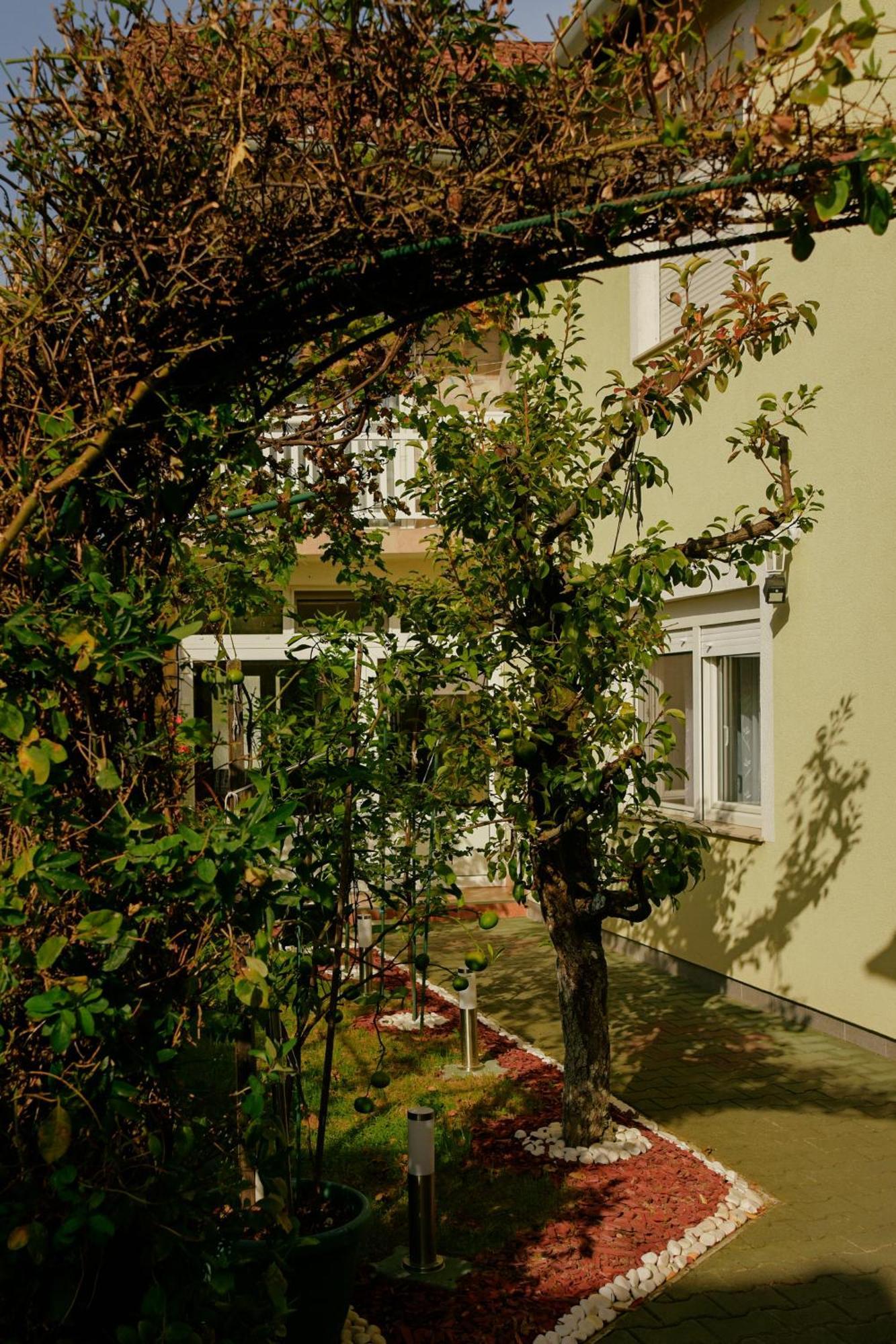 Soba Luic Apartment Zupanja Exterior foto